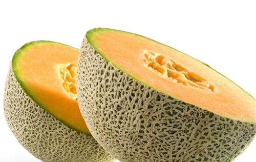 骡子吃哈密瓜视频,一场别开生面的味蕾之旅