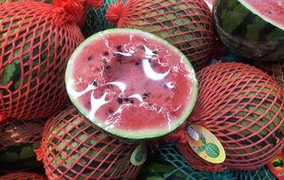 吃瓜群众月亮视频,趣味横生的网络现象