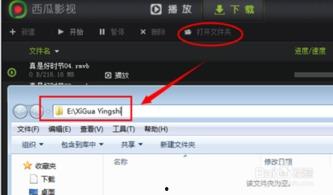 吃瓜专属视频下载软件安装,揭秘吃瓜专属视频下载软件安装攻略