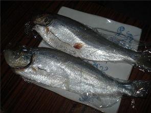 王瓜鱼怎么烧着吃视频,家常美味一网打尽