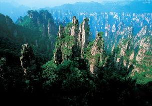 张家界吃瓜新闻视频回放,揭秘当地热门事件背后的真相