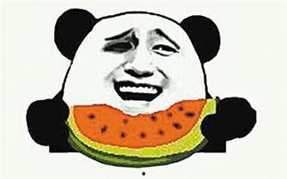 吃瓜群众婴儿视频下载,轻松下载萌娃吃瓜视频，共享欢乐时光