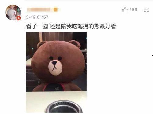 吃瓜小熊朴志君视频,揭秘娱乐圈幕后故事