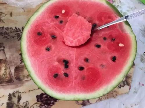 吃无骨瓜的视频教程,视频教程带你开启美味之旅