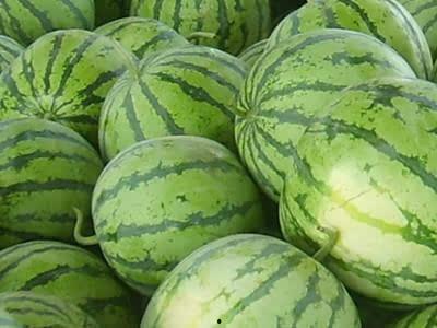 如何看懂吃瓜视频素材,如何轻松看懂热门素材