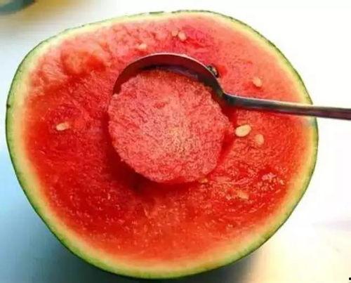 海棠瓜能吃吗怎么吃视频,视频教你轻松享美食