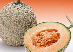 打工仔吃哈密瓜视频下载,甜蜜滋味，共享生活瞬间