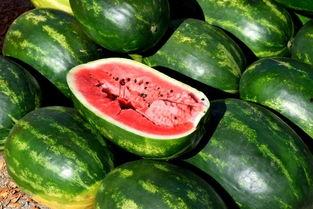 亲戚吃瓜视频素材,一场吃瓜视频引发的家族风云