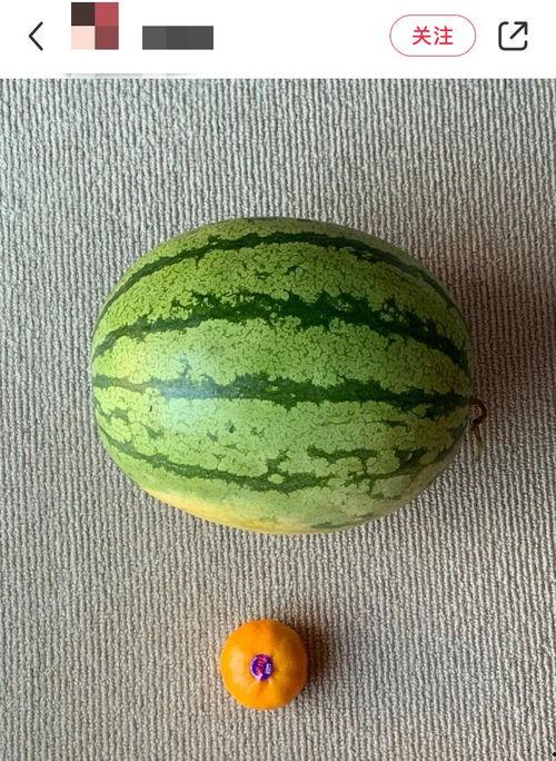 外国人吃新疆蜜瓜视频,外国人品尝新疆蜜瓜的甜蜜瞬间