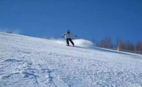 成都滑雪吃瓜事件视频播放,视频曝光引发网友热议