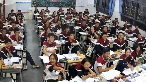 初中生打架吃瓜视频,初中生打架事件引发网友热议