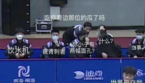 乒乓队集体吃瓜视频大全,集体吃瓜视频大盘点
