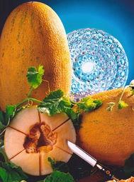 病人吃哈密瓜好吗视频,哈密瓜对病人有益？专家解读哈密瓜的食疗作用