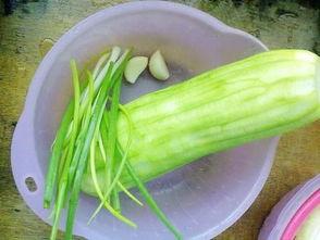 水瓜怎么挑嫩芽吃的视频,水瓜嫩芽挑选与食用技巧揭秘