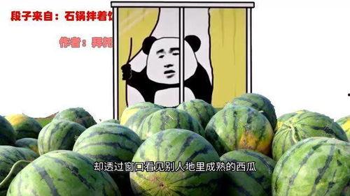 二表哥吃瓜视频,揭秘娱乐圈幕后故事